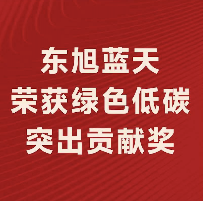 喜報(bào)〡東旭藍(lán)天斬獲“2022年度綠色低碳突出貢獻(xiàn)獎(jiǎng)”